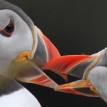 What's on in The Highlands this weekend 27th to 29th May?