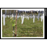 London’s Forty Hall Vineyard releases its first wines to the public