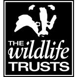 Orchestra goes wild for local charity