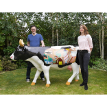 Fleet artist's design chosen for Surrey Cow Parade