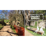 Help Us To Rescue Dartington's Historic Deer Park