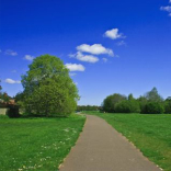 Exeter City Council consider transferring  management of some of Exeter’s best known public green spaces. 