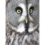 Halloween Hoots at Hatfield Park Farm