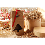 Where will you spot your hidden gifts this Christmas?  The South East area reveals their top sneaky locations this holiday season