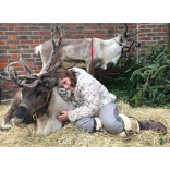 Santa, sleigh and reindeer come to Cofton  22 December, 12pm-5pm 