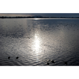 Public access to Cheddar Reservoir