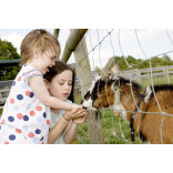 Get a fantastic value season ticket for Hatfield Park Farm