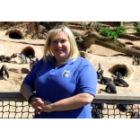 Can you p-p-pick out a penguin? Living Coasts staff test their ID skills