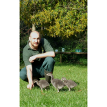 World’s rarest goose hatched at Paignton Zoo