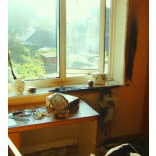 Check that glass or make-up mirrors are kept away from the sunshine