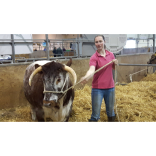 Devon County Show- Preview Pictures