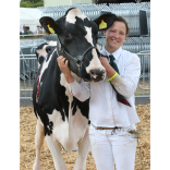 Devon County Show – day 2  