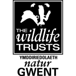 Are you taking part in #30DaysWild this June?  We are?