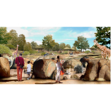 Paignton Zoo goes Into Africa