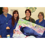 Zoo bird show supports new  conservation project