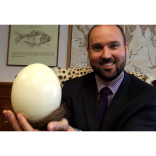 Charity says protect your nest egg, make a Will