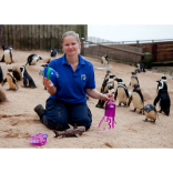 Living Coasts joins global marine litter campaign