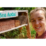 Zoo says build bed and board for bees!