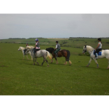 Where to go horse riding in Brighton and Hove?