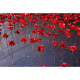 War veteran’s salute at Mayor’s Remembrance Sunday service