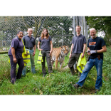 Dartmoor Zoo wraps up Christmas with new wild animal encounter experiences