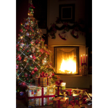 Christmas Trees in Brighton and Hove - The finest in the city! 