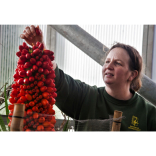 Zoo shares precious seeds   