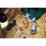 TB blow to Zoo breeding