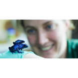 Blue is (still) the colour…