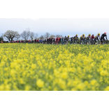 Yorkshire's Biggest Bike Race