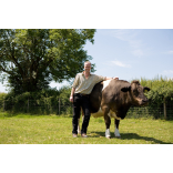 Devon Farm Business Awards offer farmers in need a helping hand