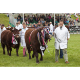 Devon County Show 2018 preview