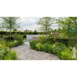 Gold award for sustainable rain garden