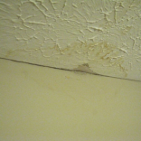 Diagnosing and Investigating Damp