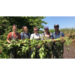 Simpkins Edwards celebrates 50th Anniversary with volunteer work in Exeter and throughout Devon