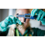 Cray to go… charity defends Devon species   