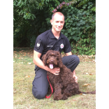 First defusing therapy dog in the UK