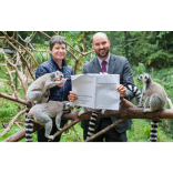 Lemurs make their Wills