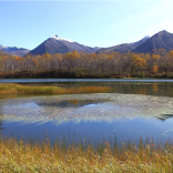 4 Important Things You Should Always Think about before Aquatic Weed Harvest 