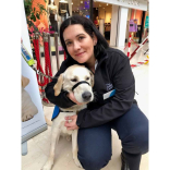 Ashley the Puppy wowed shoppers in The Ashley Centre, Epsom