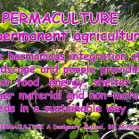 Nicky Smith on Local Permaculture