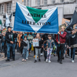 Tony “Tofu” Harris on waving the Vegan Flag