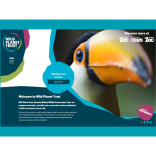 Wild, wild website for Wild Planet Trust