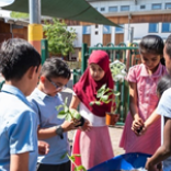 Birmingham students put the world into a wheelbarrow