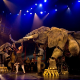 Extraordinary acts announced for Circus 1903   at Birmingham Hippodrome