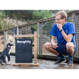 Penguins behaving badly