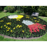 Nonsuch Park wins at the South and South East in Bloom Awards @EpsomEwellBC