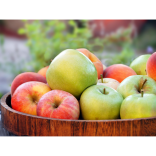 Monday 21st October 2019 is Apple Day