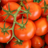 Tomatoes are great for Your Health