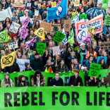 Birmingham extinction rebellion rebels make impact in London and welcome back arrested rebels